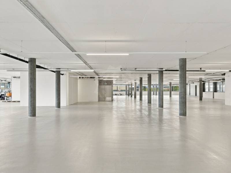 Grande surface industrielle - Plan-les-Ouates (4)