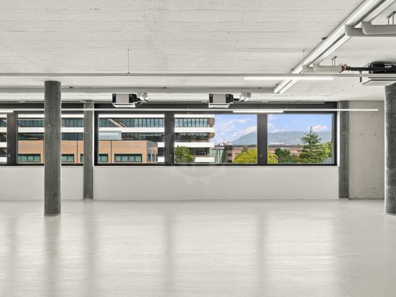 Grande surface industrielle - Plan-les-Ouates (5)