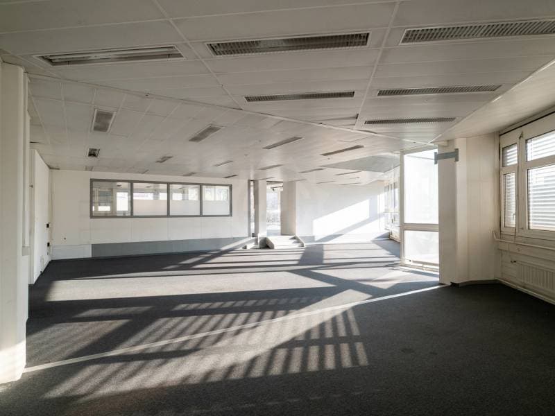 Belles surface industrielle - Grand-Lancy (3)