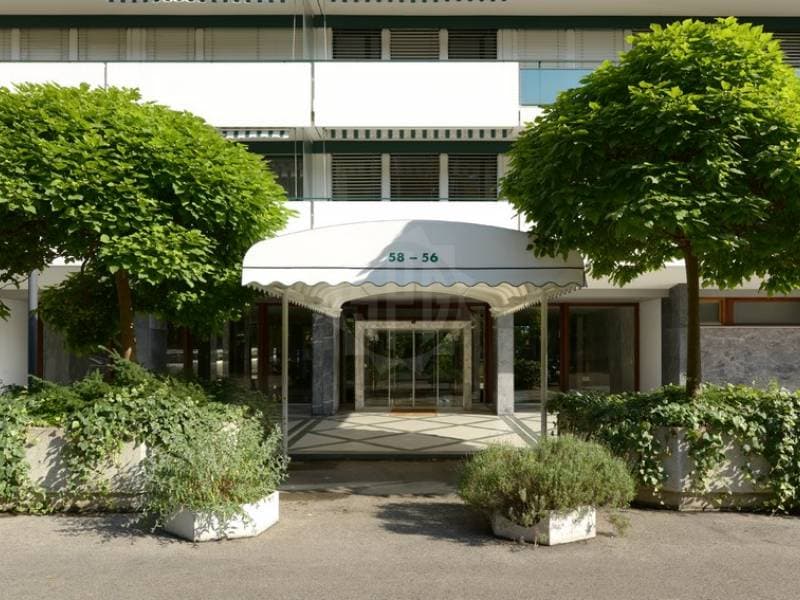 Bureaux agréable - Genève (4)