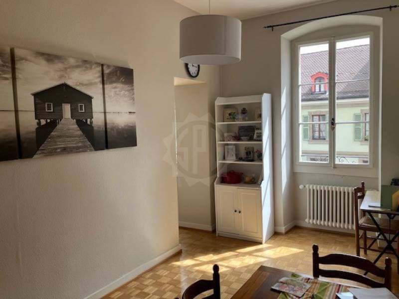 Appartement - Carouge (1)