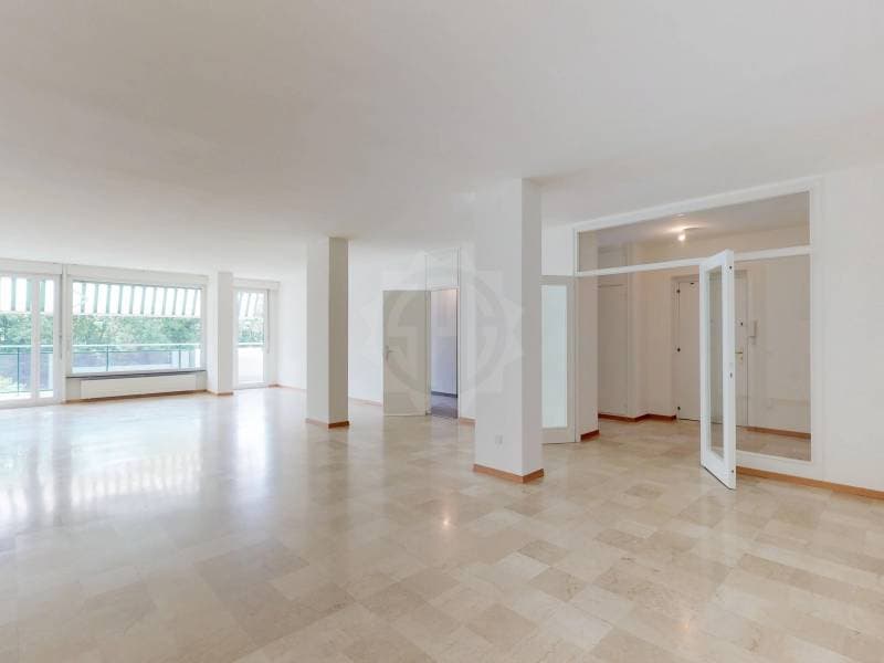 Bel appartement - Genève (5)