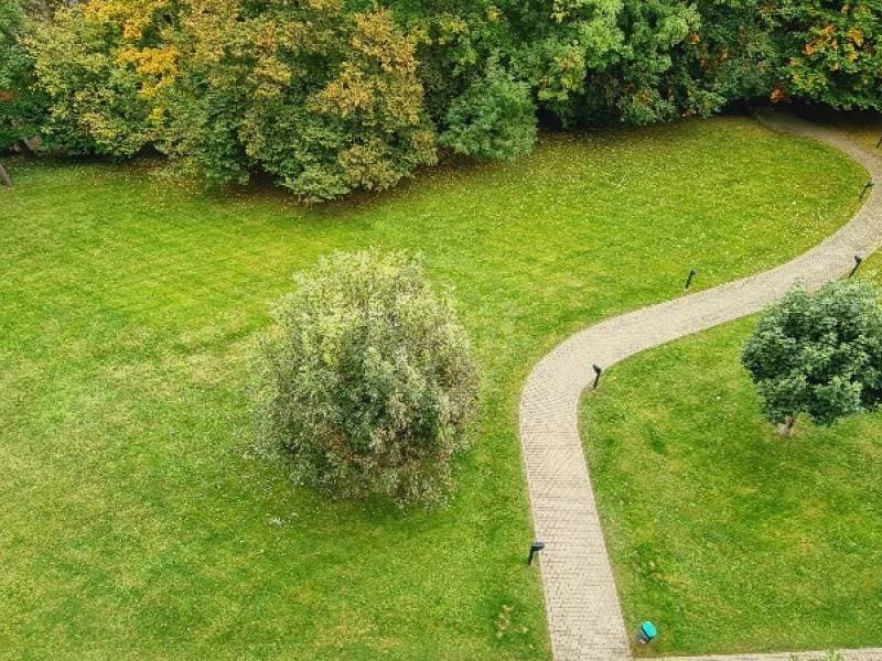Bel appartement - Genève (4)