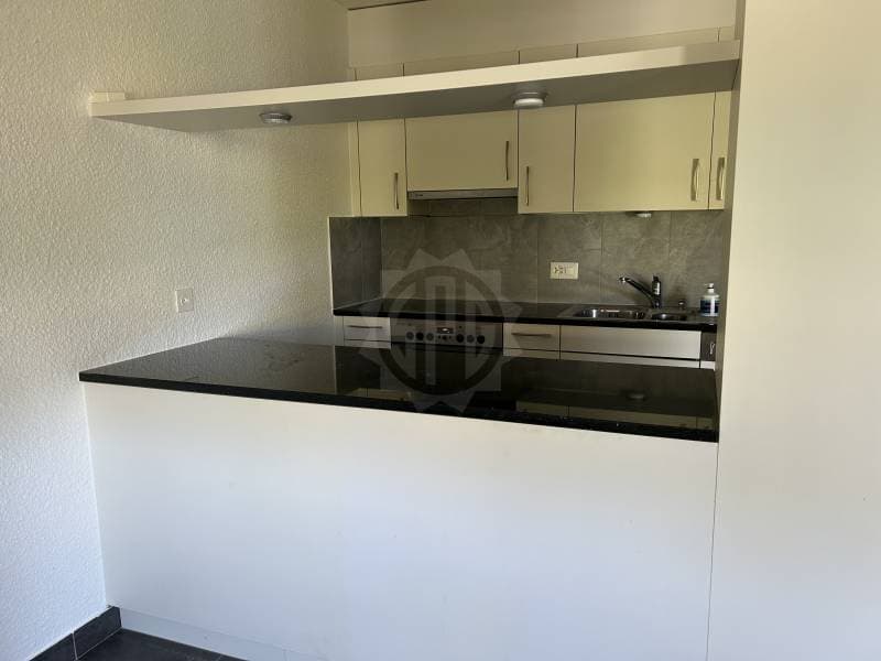 Super appartement - Yverdon-les-Bains (2)