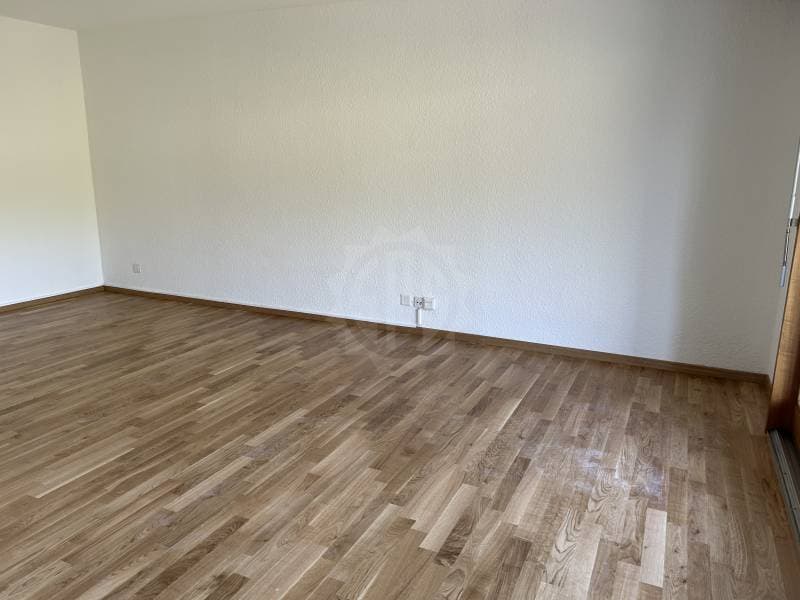 Super appartement - Yverdon-les-Bains (3)