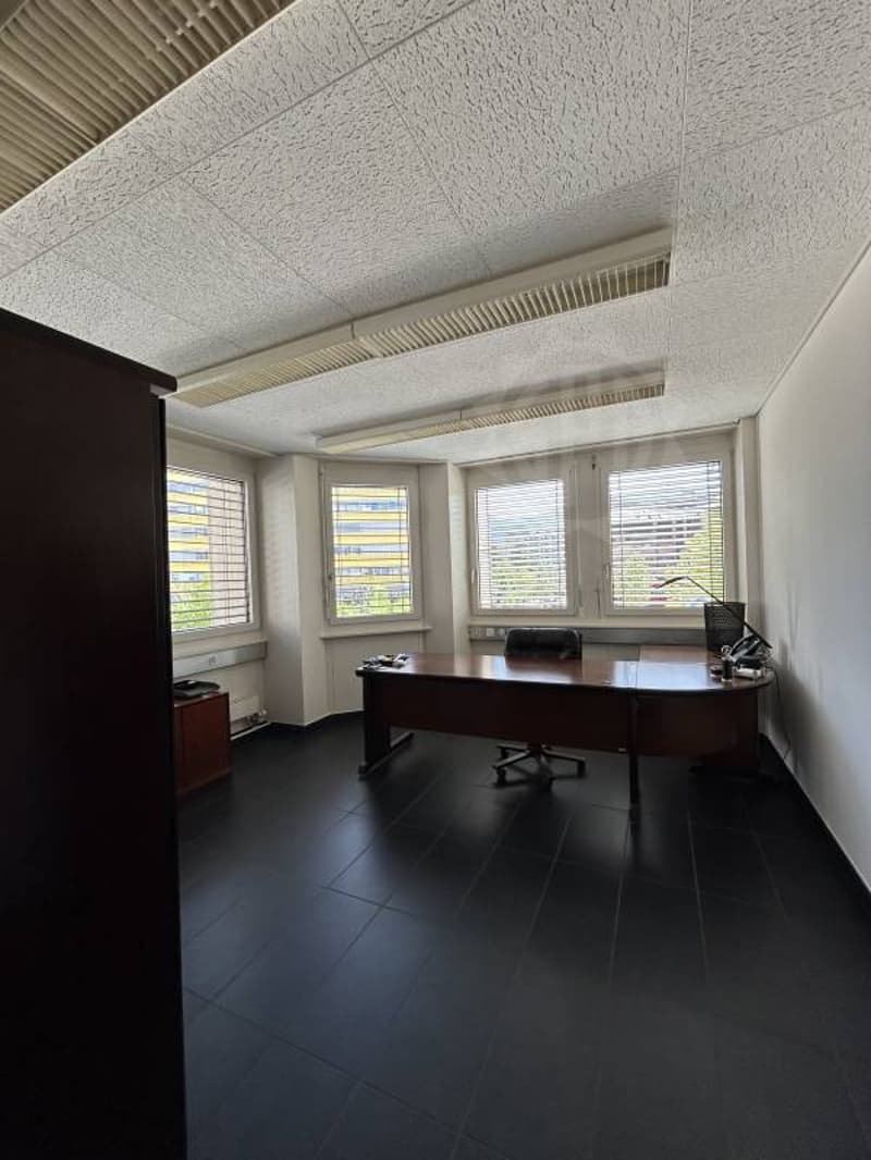 Bureaux lumineux - Chêne-Bourg (3)