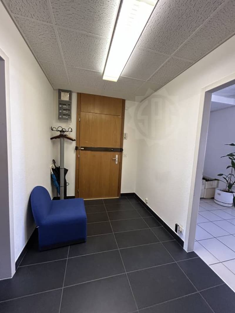 Bureaux lumineux - Chêne-Bourg (4)