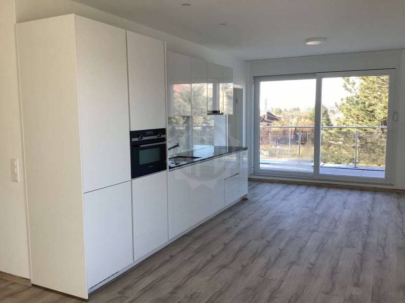 Appartement - Grand-Lancy (1)