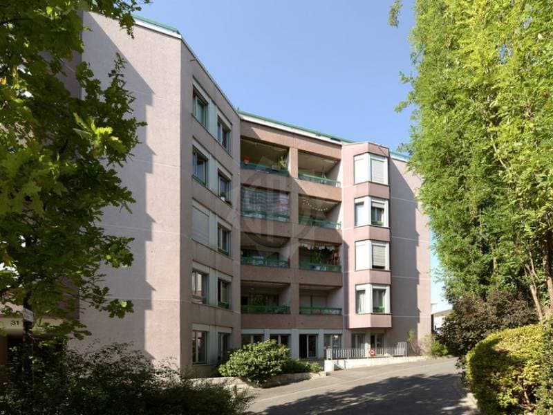 Bureaux - Petit-Lancy (1)