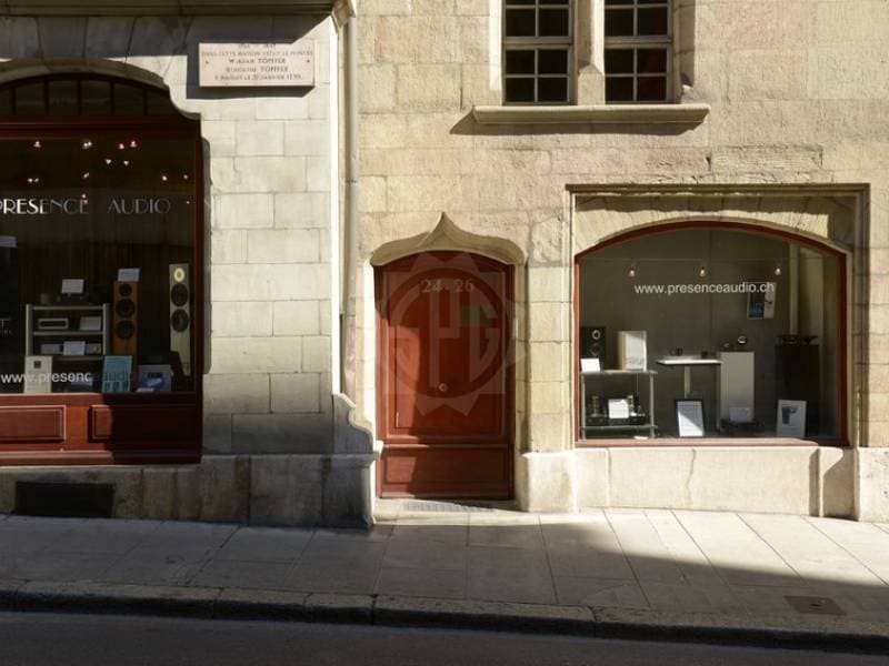 Charmant appartement - Genève (3)