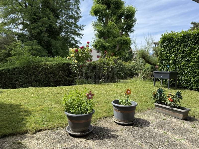 Bel appartement - Yverdon-les-Bains (1)