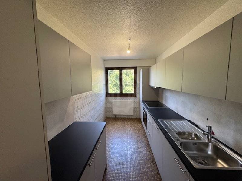 Charmant appartement - Gland (5)