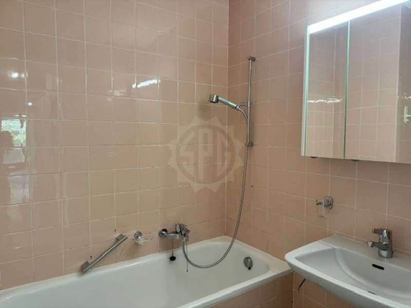 Charmant appartement - Gland (4)