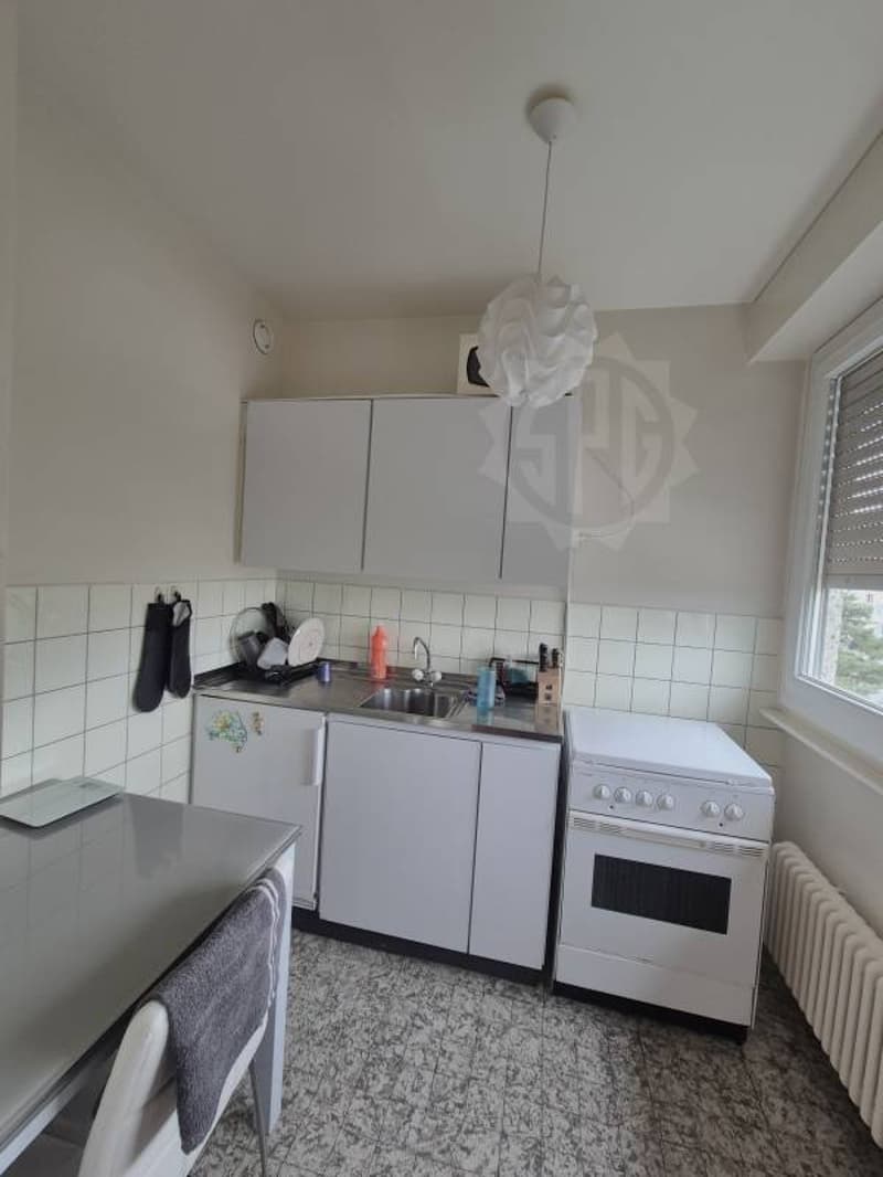 Appartement coquet - Thônex (5)