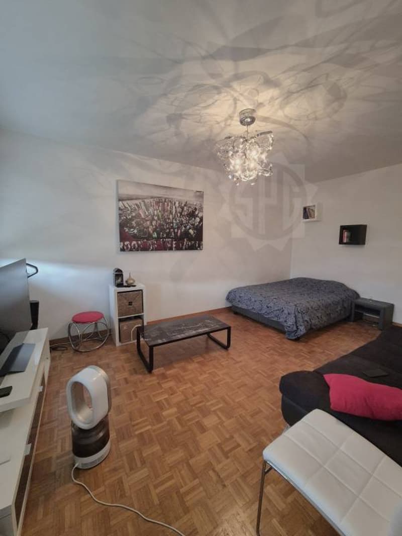 Appartement coquet - Thônex (6)