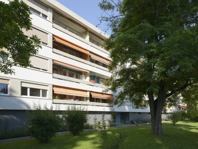 Appartement coquet - Thônex (2)
