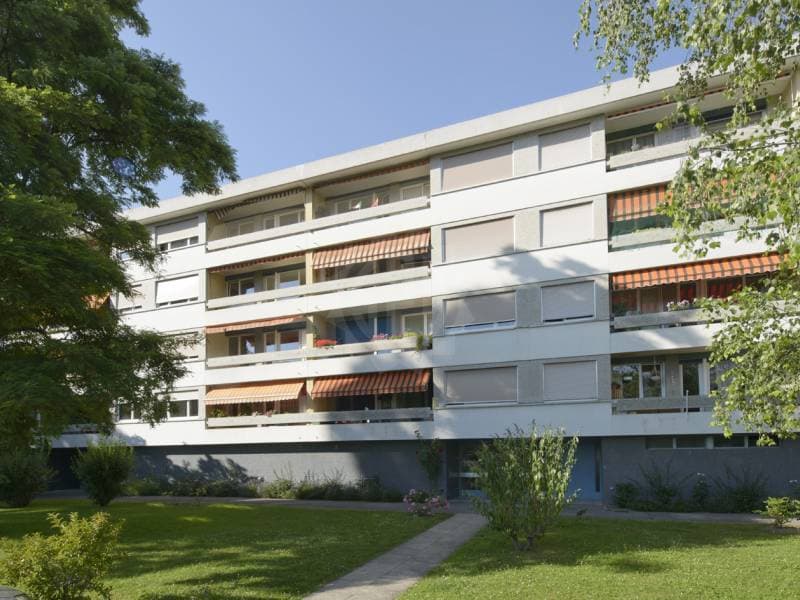 Appartement coquet - Thônex (1)