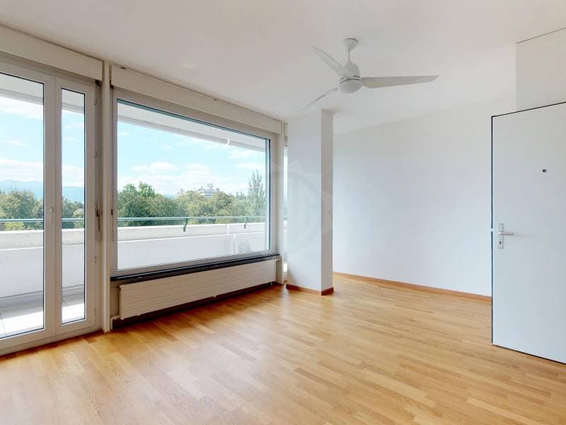 Bel appartement - Genève (5)