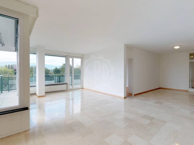 Bel appartement - Genève (4)