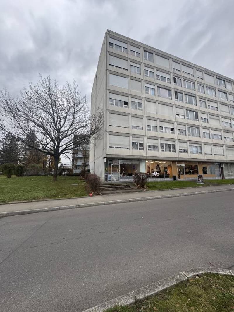 Appartement - Meyrin (1)