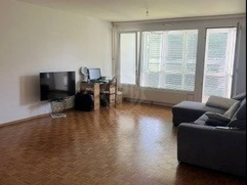 Appartement - Carouge (2)
