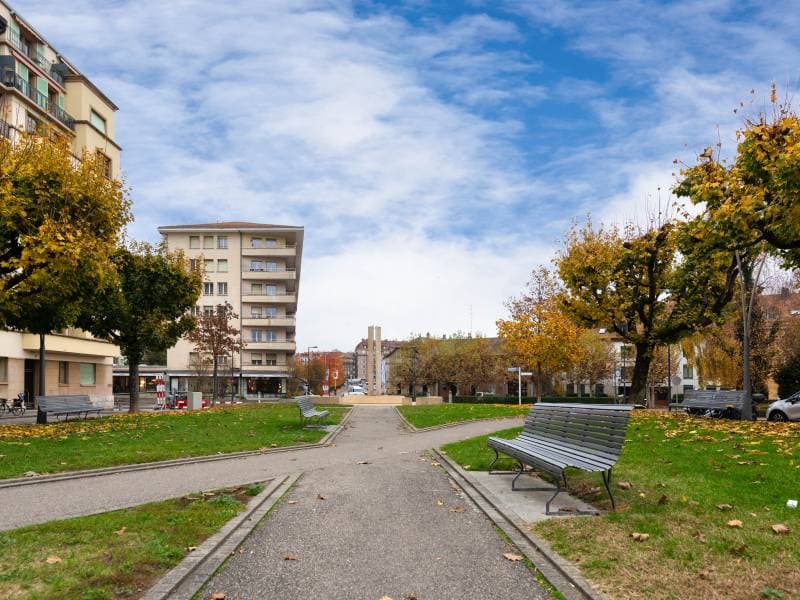 Appartement - Carouge (4)