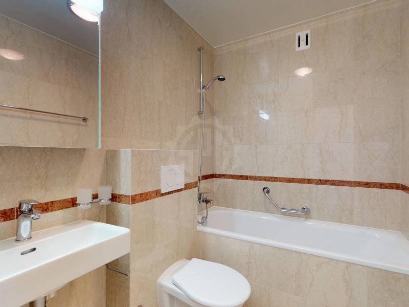 Bel appartement - Genève (5)