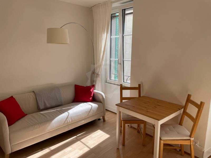 Super appartement - NYON (2)