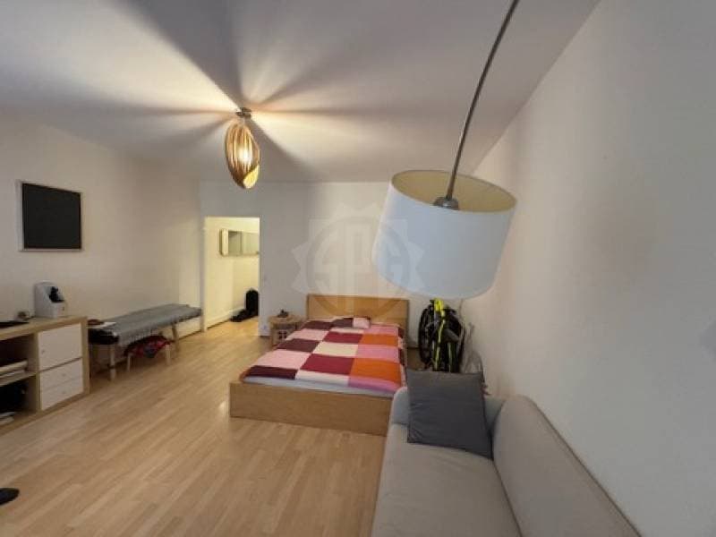Super appartement - NYON (8)
