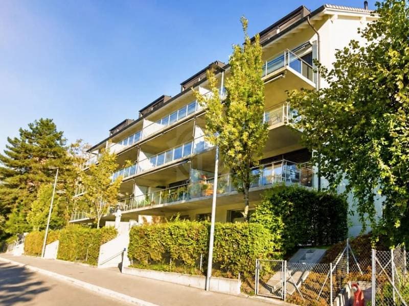 Surface Industrielle - Morges (1)