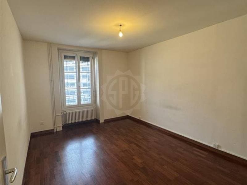 Bel appartement - Genève (4)