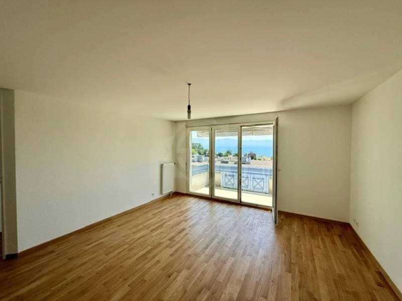 Bel appartement - Mont-sur-Rolle (3)