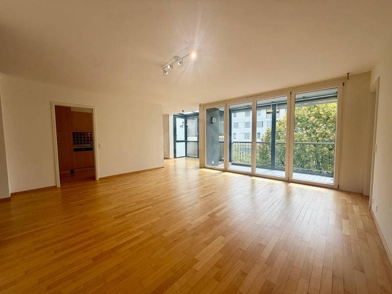 Appartement agréable - Nyon (4)