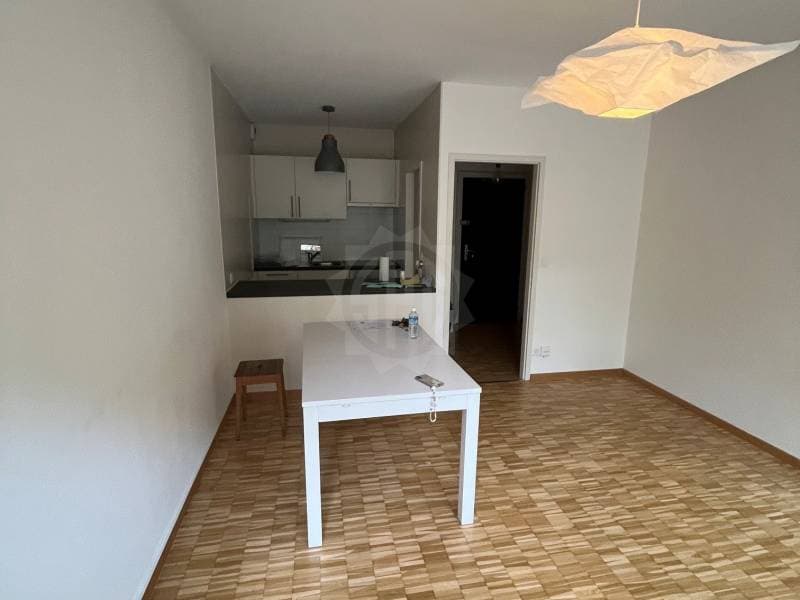 Charmant appartement - Genève (4)