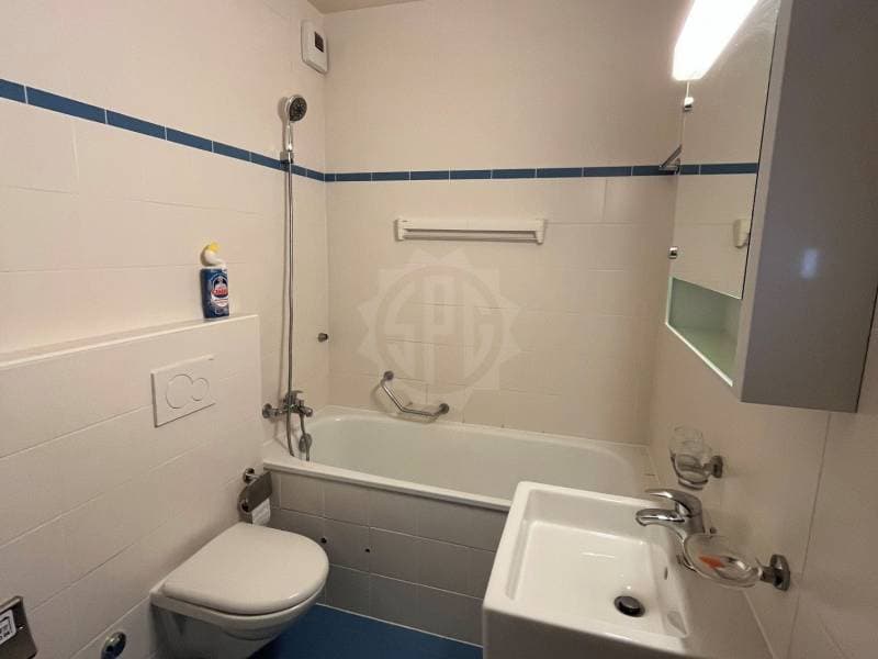 Charmant appartement - Genève (7)