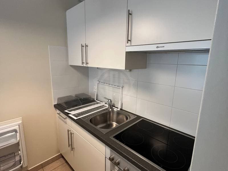 Charmant appartement - Genève (6)