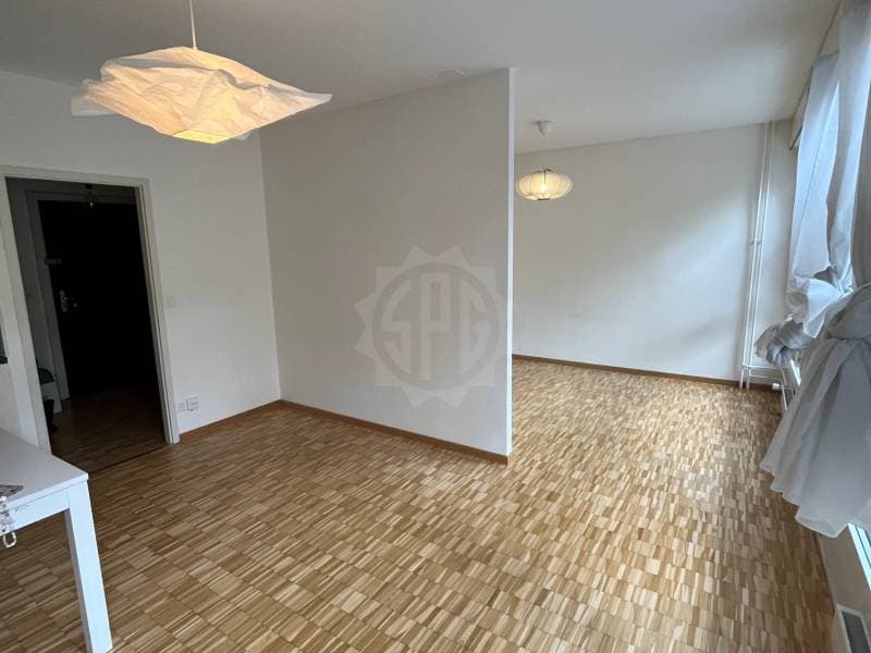 Charmant appartement - Genève (5)