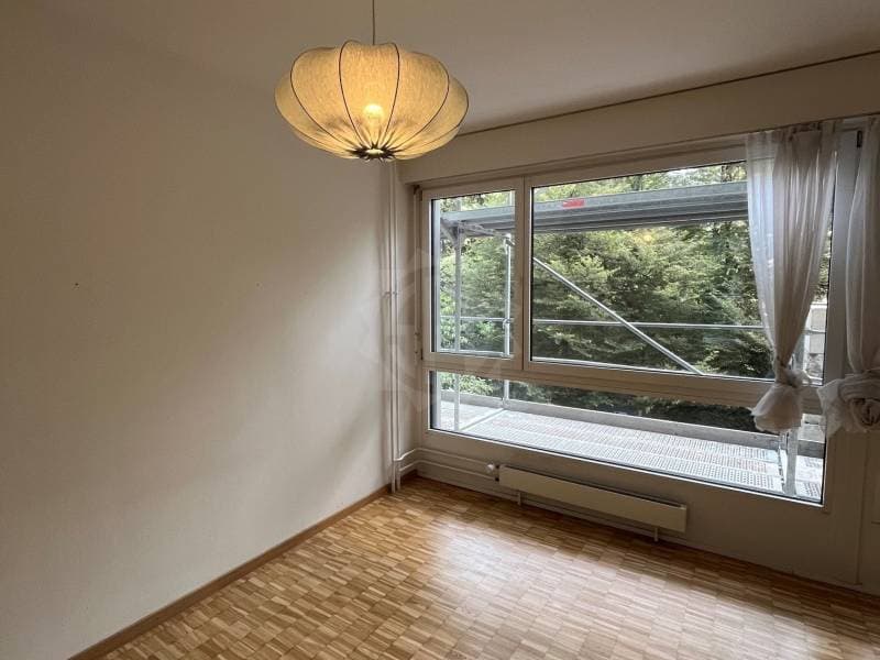 Charmant appartement - Genève (2)