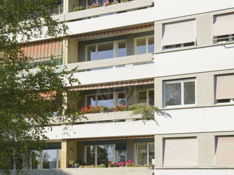 Appartement agréable - Thônex (3)