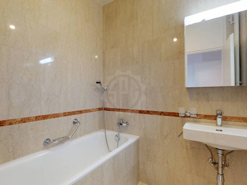 Bel appartement - Genève (4)