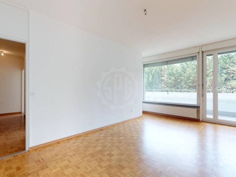 Bel appartement - Genève (1)