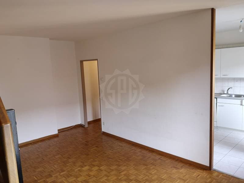 Appartement agréable - Genève (7)
