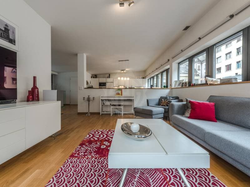 Magnifique appartement - Genève (2)