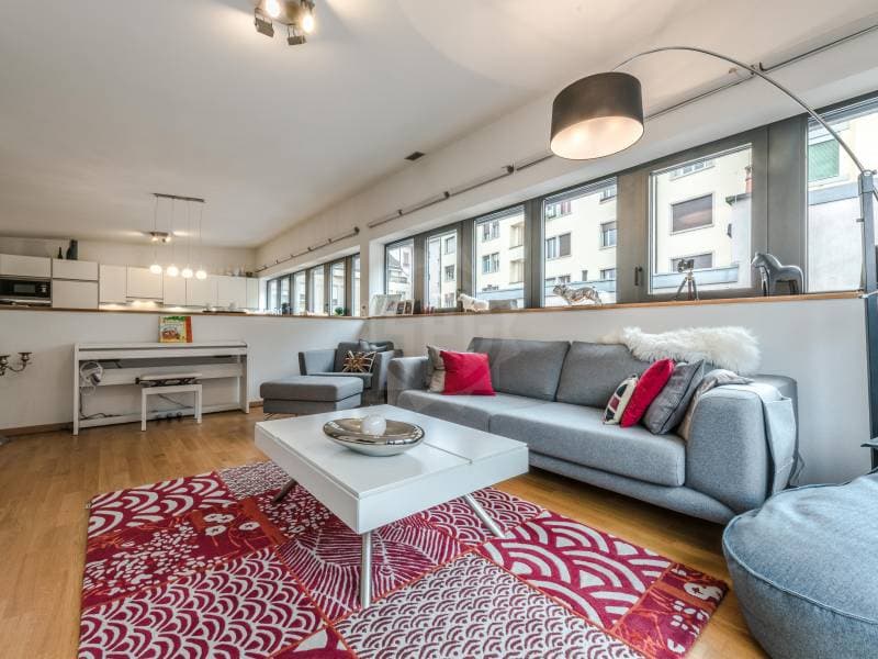 Magnifique appartement - Genève (3)