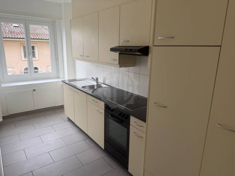 Bel appartement - Lausanne (3)