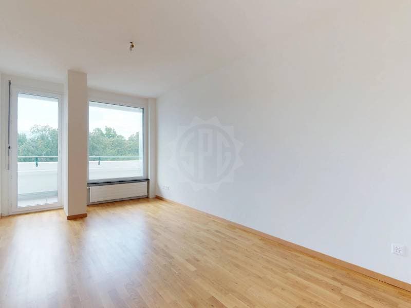 Bel appartement - Genève (6)