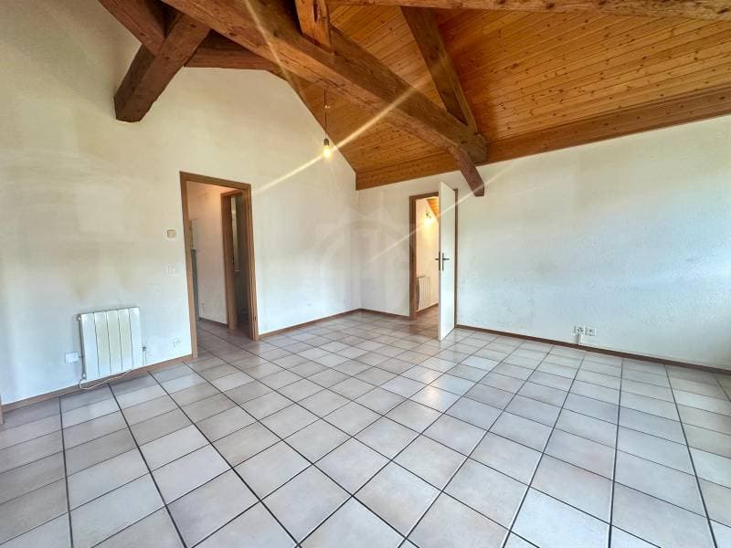 Charmant appartement - Genolier (3)