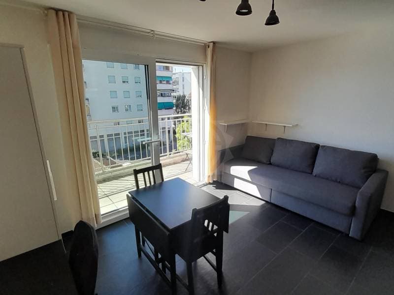 Bel appartement - Renens VD (2)