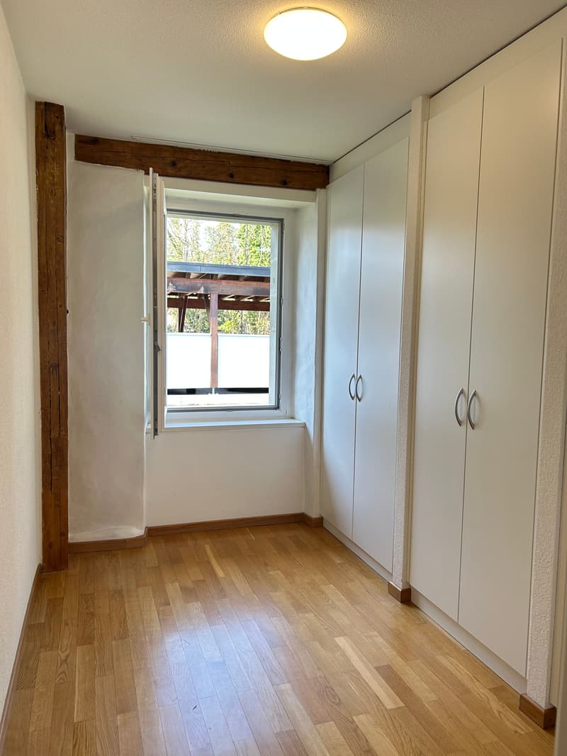 Magnifique villa de 8.5 pièces à Chigny (9)
