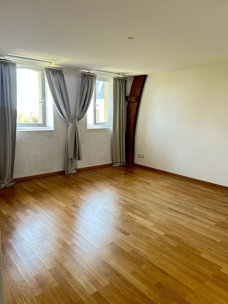 Magnifique villa de 8.5 pièces à Chigny (8)